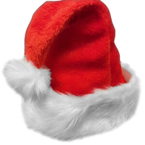 Encased Santa Hat for Adults